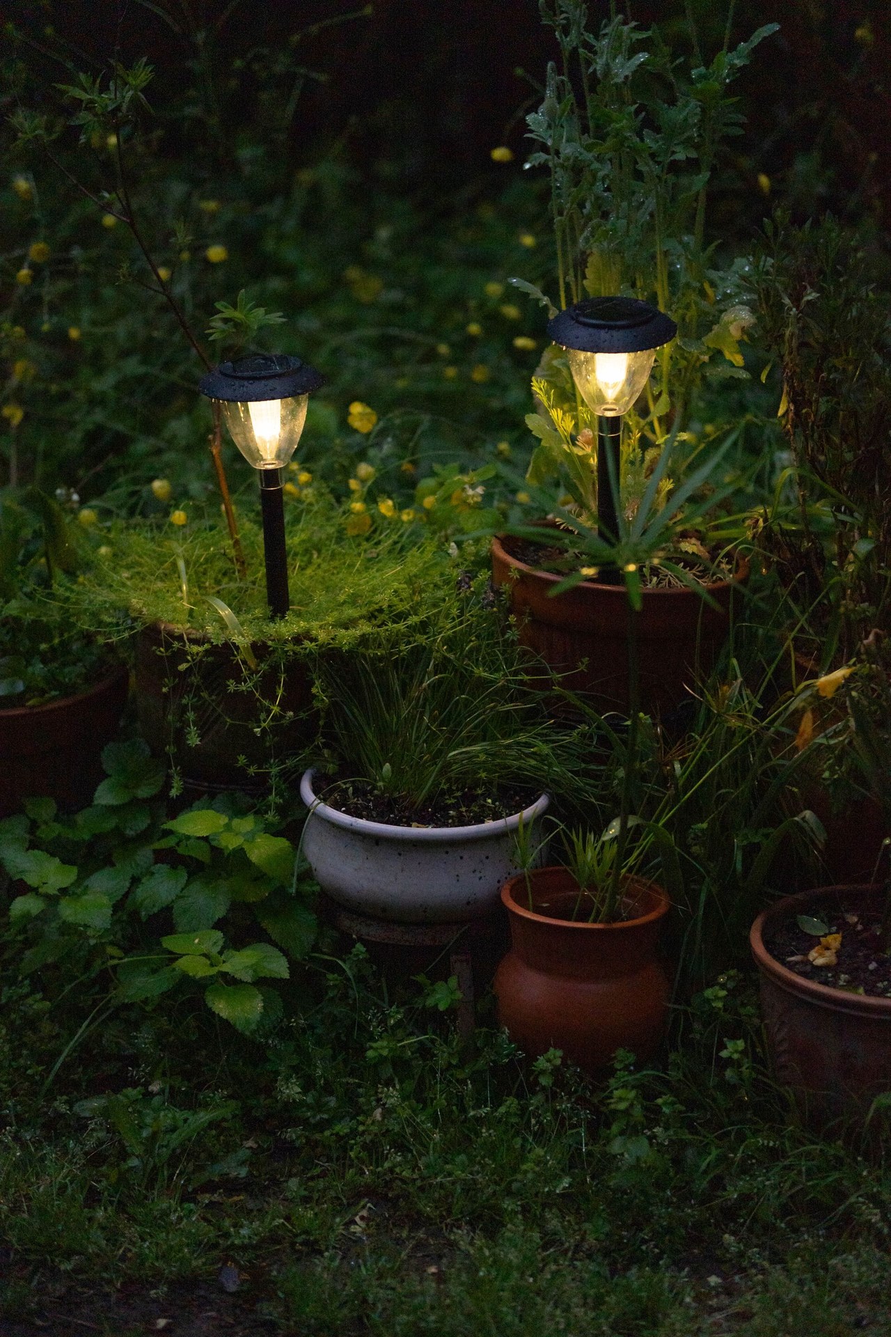 Custom branded solar garden light with logo printing for OEM wholesale