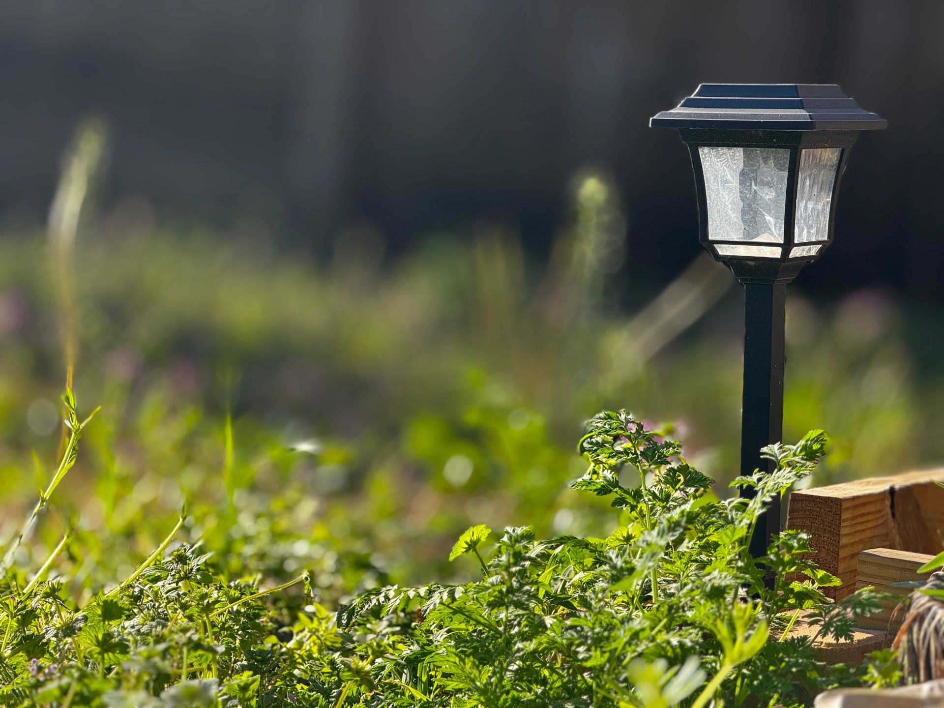 IP65 waterproof solar pathway light for outdoor use